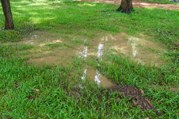 Cost of Storm Water Drainage Service in Ballwin