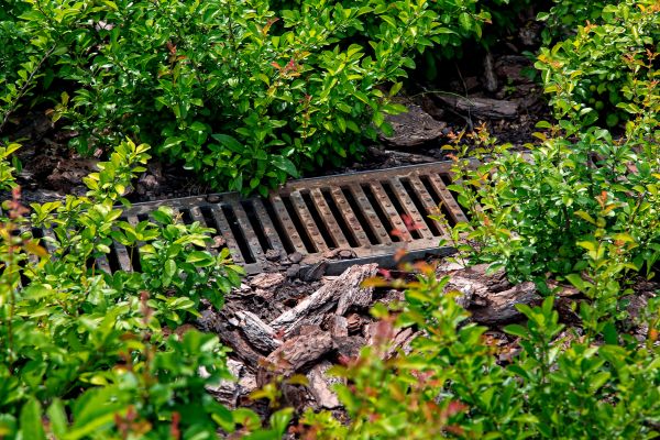 Cost of Underground Drainage Service in Ballwin