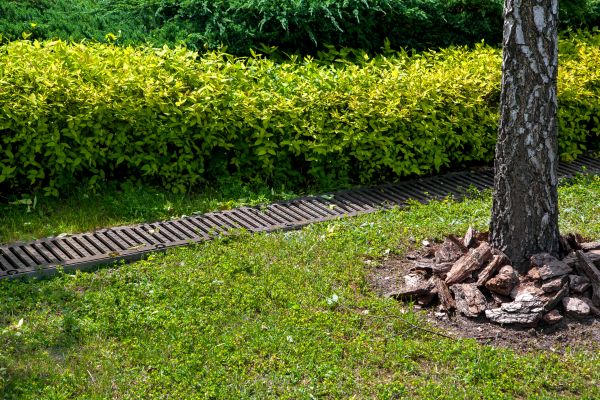 Cost of Residential Landscape Drainage in Ballwin