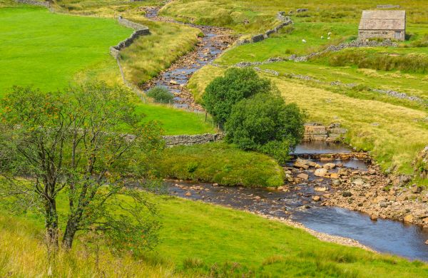 Cost of Swale Repair in Ballwin